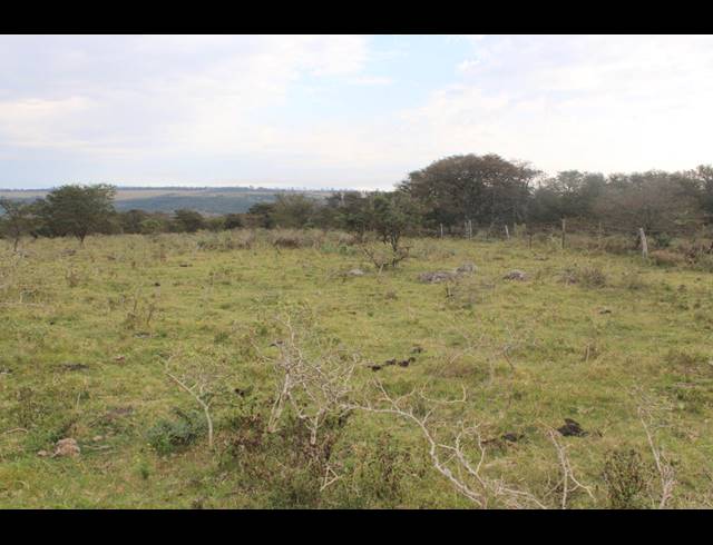 367HA FARM FOR SALE IN KOMGA
